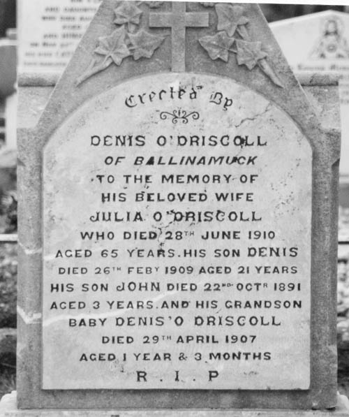 O'Driscoll, Denis, Julia, Denis, John, and Denis.jpg 56.0K